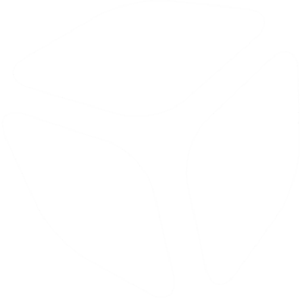 why-our-developer